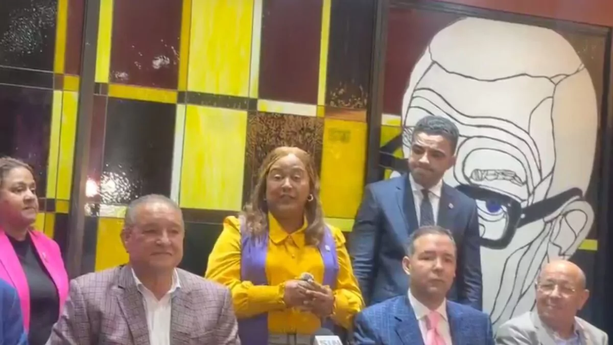PLD elige a Ydenia Doñé como nueva vocera en la Cámara de Diputados