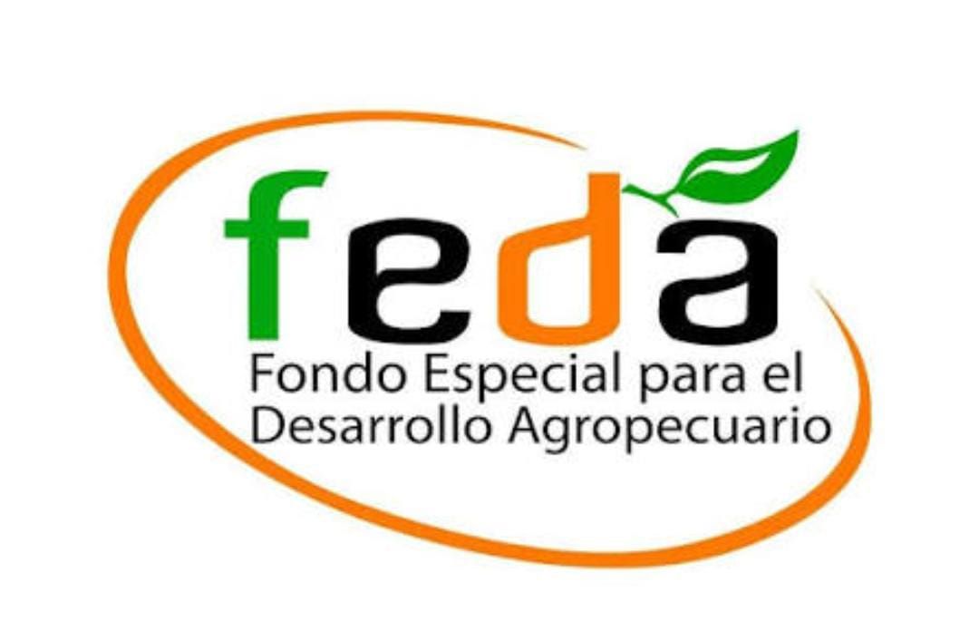 Retos administrativos y enfoque técnico: El debate sobre el perfil institucional necesario para el FEDA.